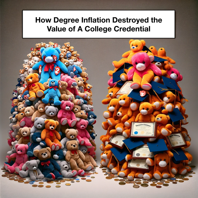 Degree Inflation - Beanie Babies